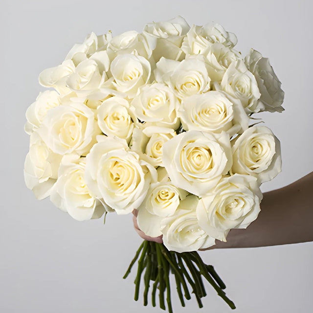 Buy Wholesale Eskimo White Roses in Bulk - FfityFlowers