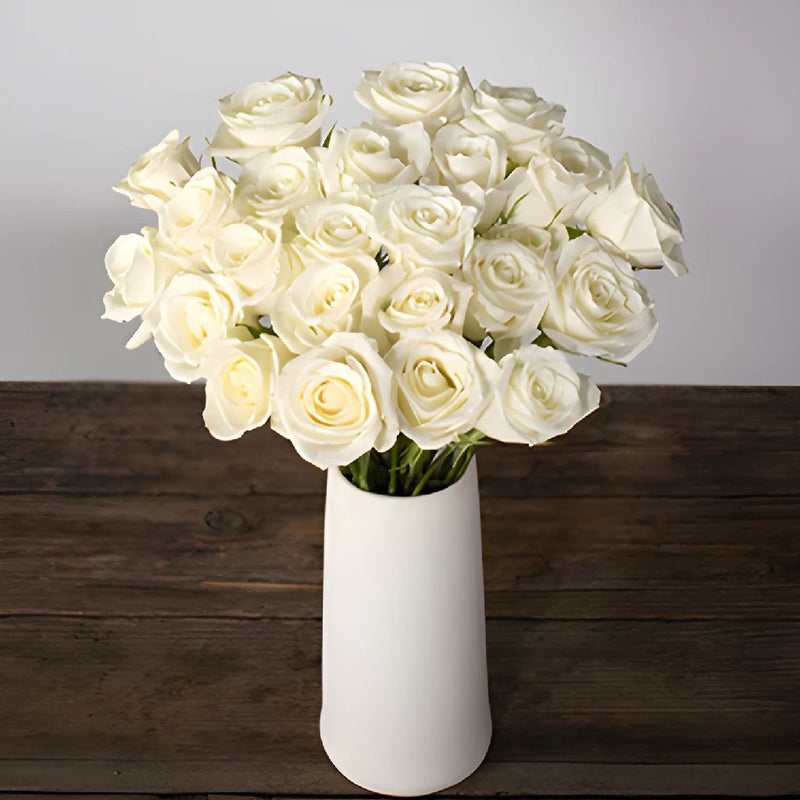 White rose flowers for delivery