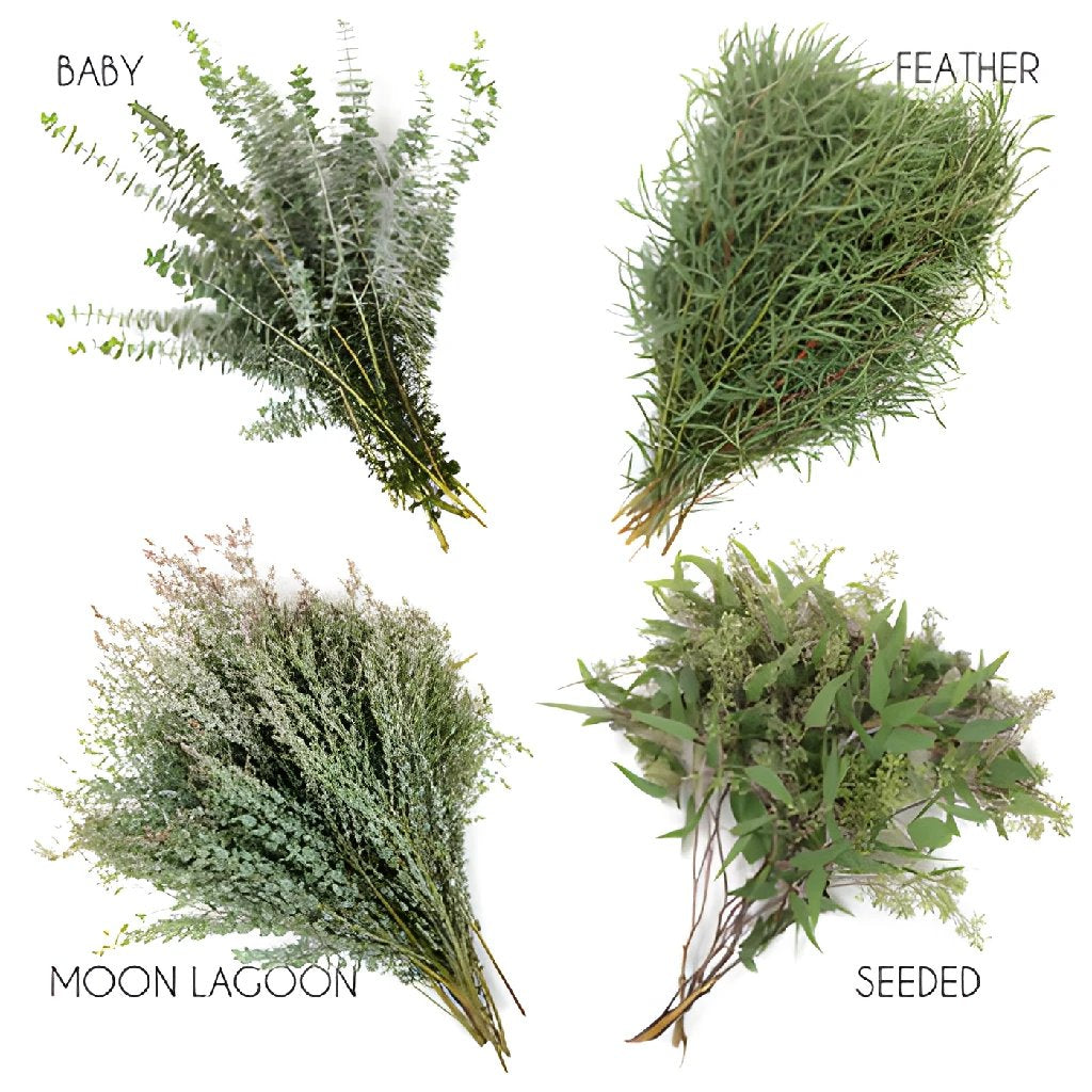 Choose Your Own Eucalyptus Greenery Premium Pack