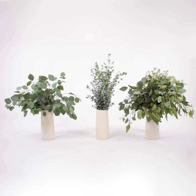 Eucalyptus Mixed Pack in white vases