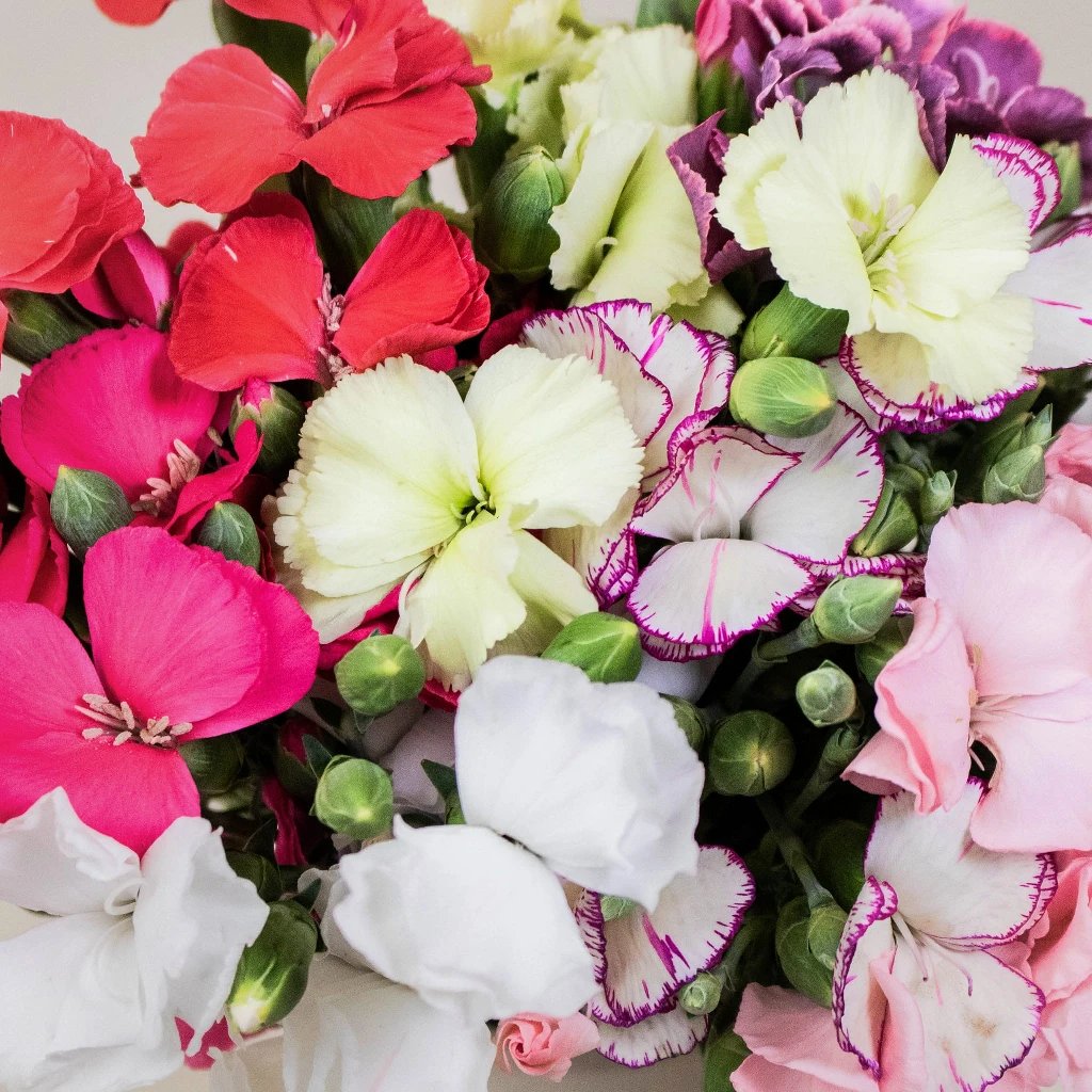 Assorted outlet wedding flowers