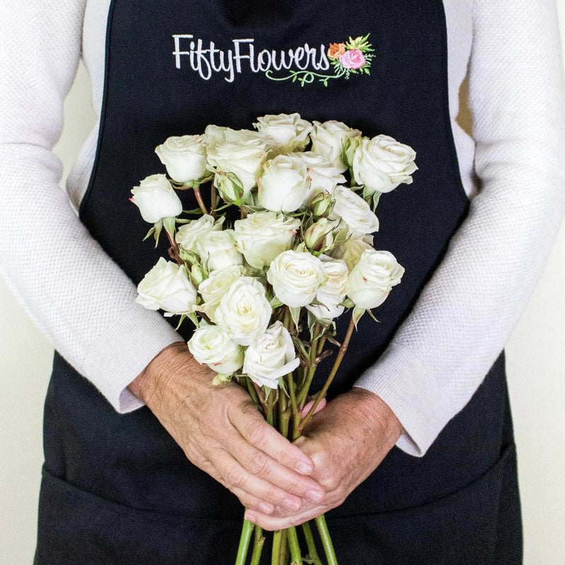 Floreana White Wholesale Spray Rose Bunch In a Hand