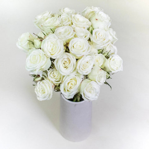 Floreana White Wholesale Spray Roses In a Vase