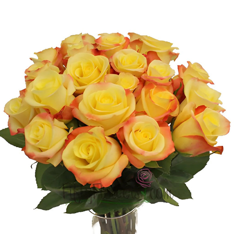 Florida Strawberry Kiss Yellow Wholesale Roses In a vase