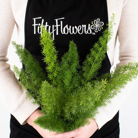 Foxtail Greenery Bunch in Hand