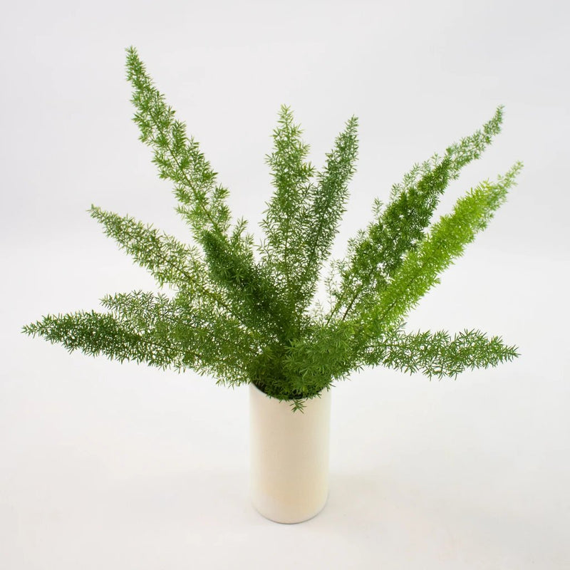 Foxtail Greenery Bunch in Vase