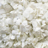 Fresh White Hydrangea Petals