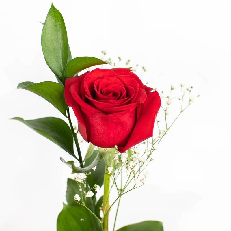 Single Red Rose Greenery Mother's Day Arrangements