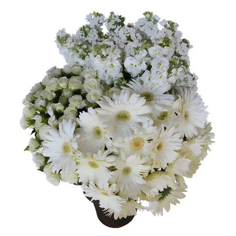 Garden Delights White DIY Flower Kit In a Vase