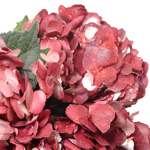 Glitzy Red Airbrushed Hydrangea Wholesale Flower Up close