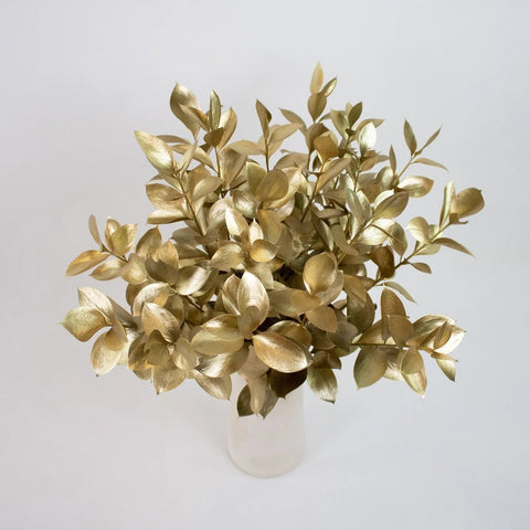 Gold Tinted Ruscus Greenery Bunch in Vase