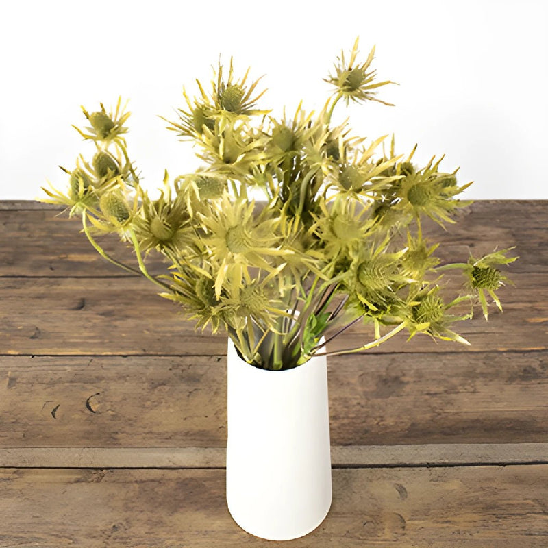 Gold Tinted Thistle Wholesale Flower In a vase