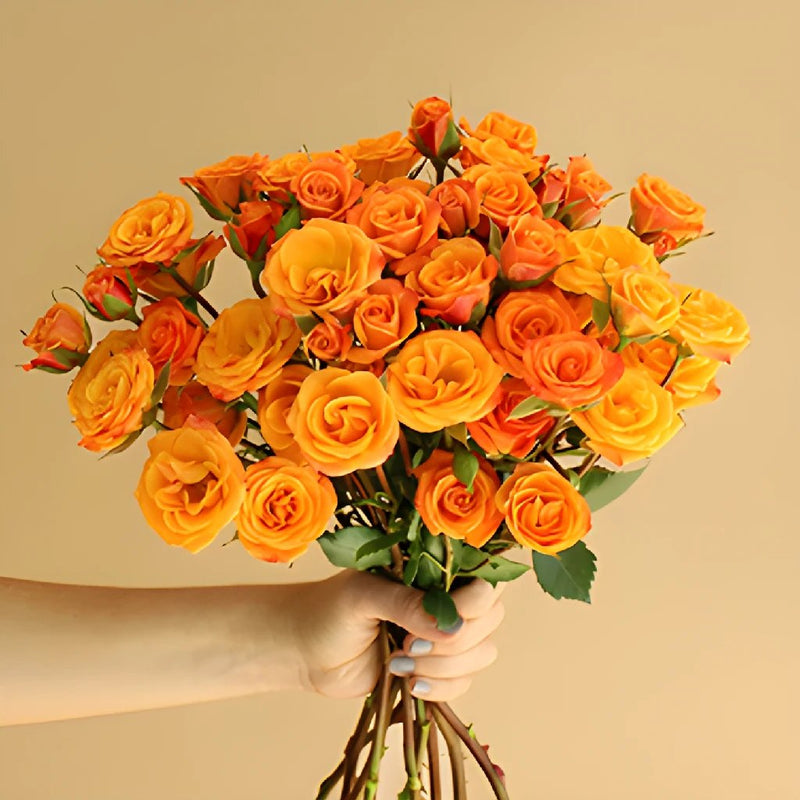 Golden Melon Spray Wholesale Rose Bunch in a hand
