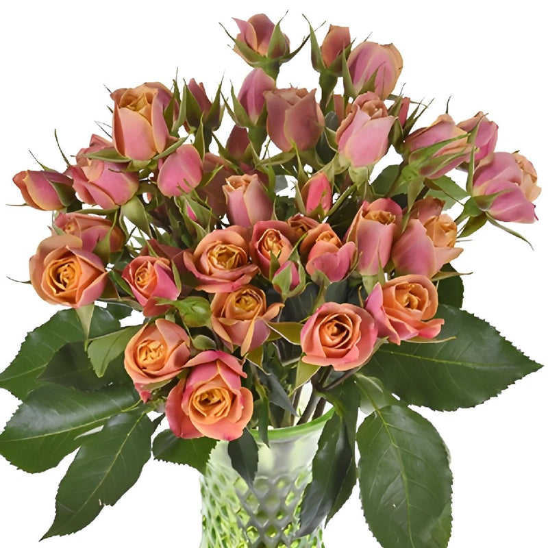 Golden Peach Petite Wholesale Roses In a vase