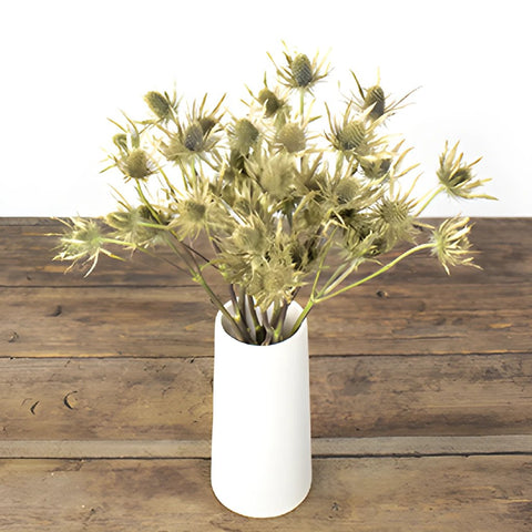 Golden Tinted Thistle Wholesale Flower In a vase