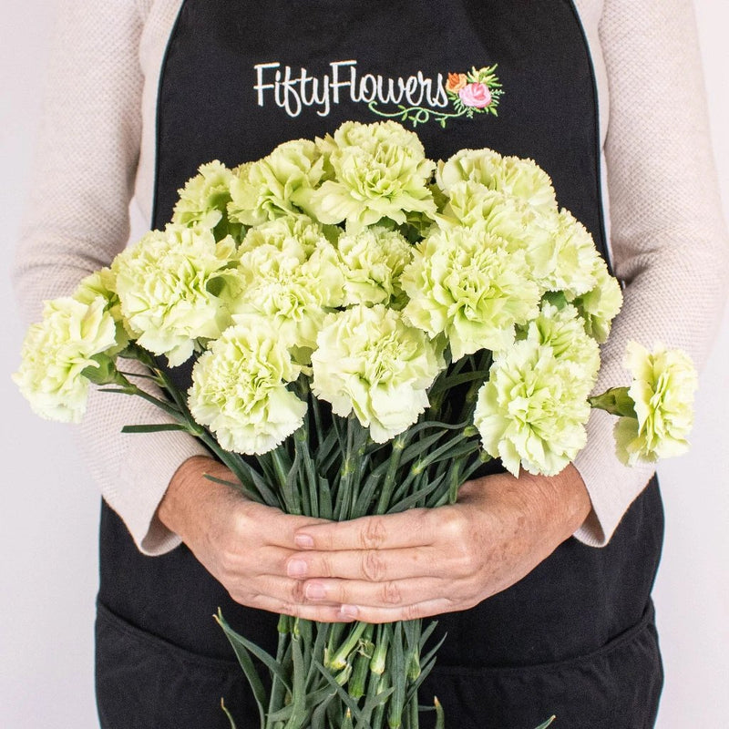 Mint Green Carnation Bunch in Hand