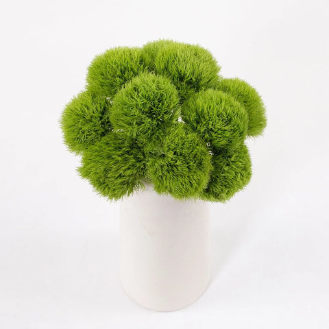Green Dianthus Flower Bunch in Vase