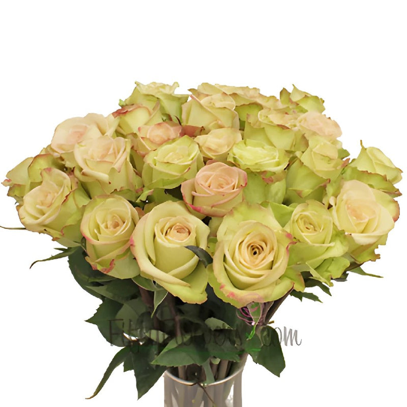 Green Fashion Wholesale Roses In a vase