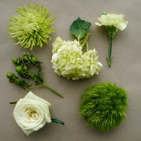 Green Gem Combo DIY Flower Kit Flatlay