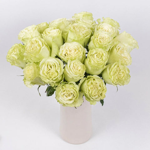 Green Limeade Roses in Vase