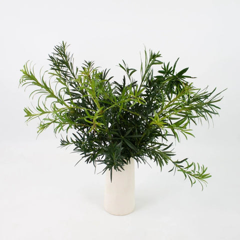 Green Podocarpus Greenery Bunch in Vase