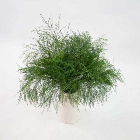 Green Tree Fern Greenery Bunch in Vase