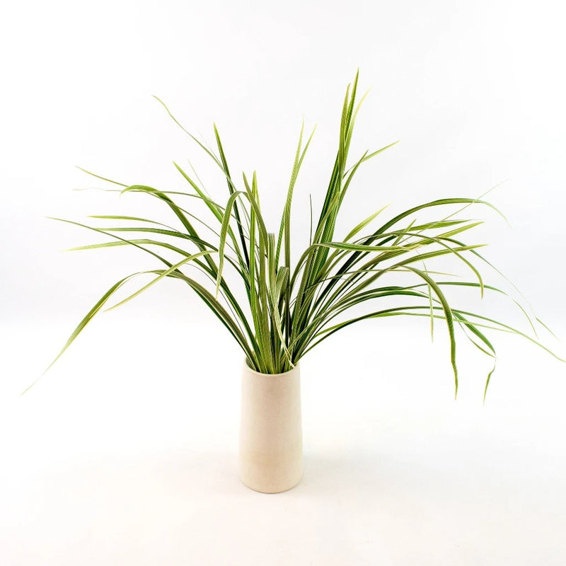 Green Variegated Lily Grass Greenery Bunch in Vase