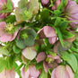 Rose Berry Wedding Designer Hellebore Flowers