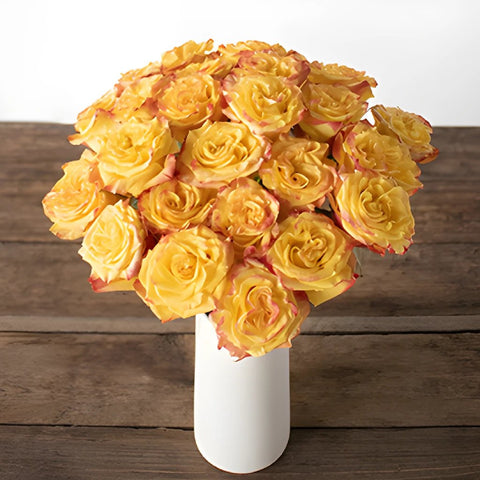 Highflame Yellow Orange Rose Vase