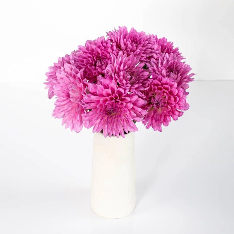 Hot Pink Dahlia Flower Bunch in Vase