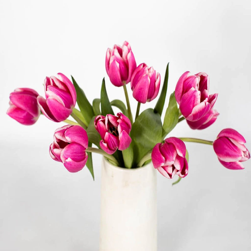 Hot Pink Tulip Flower Bunch in Vase