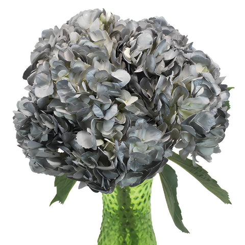 Airbrushed Silver Hydrangea Wholesale Flower In a vase