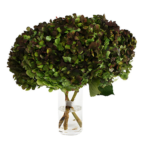 Antique Hydrangea Charcoal Wholesale Flower in a Vase