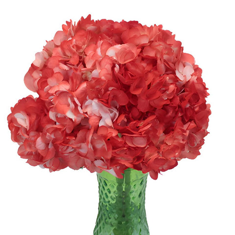 Coral Orange Airbrushed Hydrangea Flower in a Vase