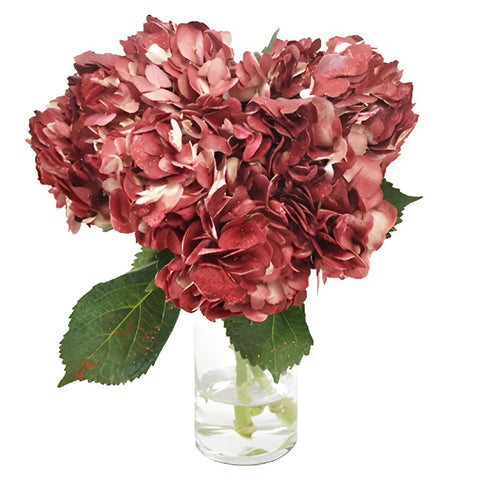 Glitzy Red Airbrushed Hydrangea Wholesale Flower In a vase
