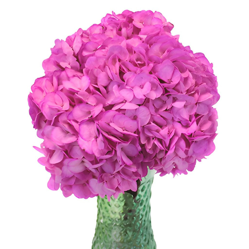 Magenta Enhanced Wedding Flowers in a Vase
