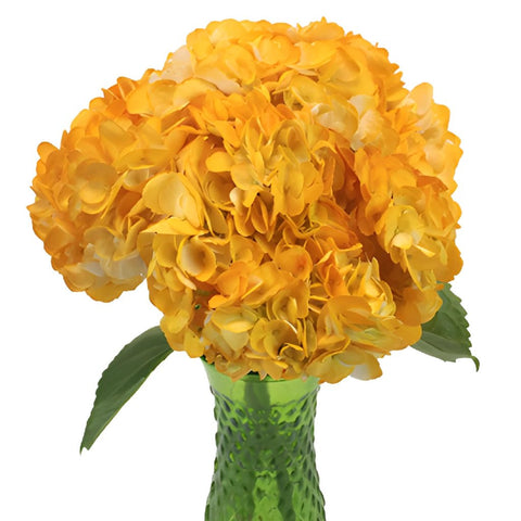 Pineapple Fizz Airbrushed Yellow Hydrangea Flowers in a Vase