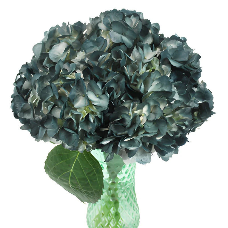 Victorian Blues Airbrushed Hydrangea in a Vase