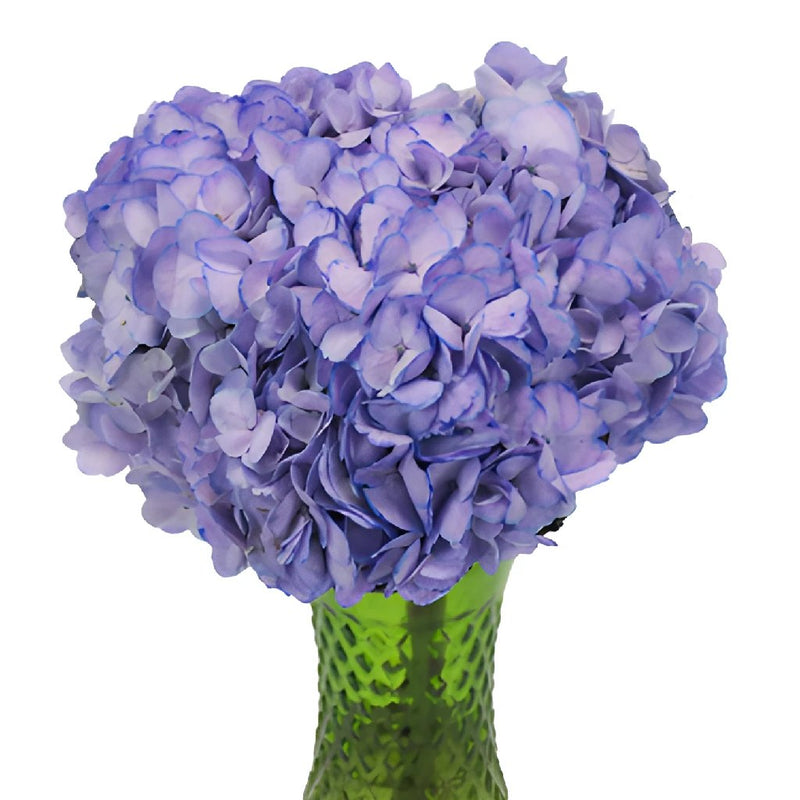Whimsical Fairytale Enhanced Hydrangea in a Vase
