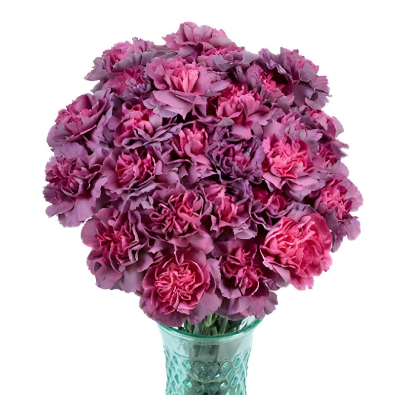Hypnosis Hot Pink and Purpleberry Carnation Flowers In a vase