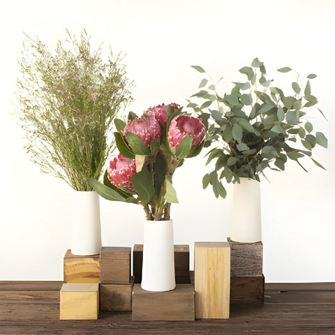 Impressive Protea Combo DIY Flower Kit Bunch
