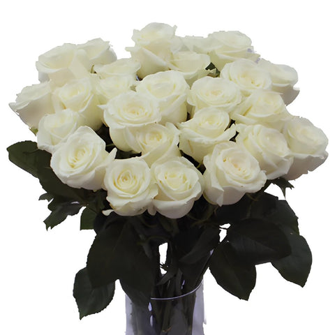 Innocence White Wholesale Roses In a vase