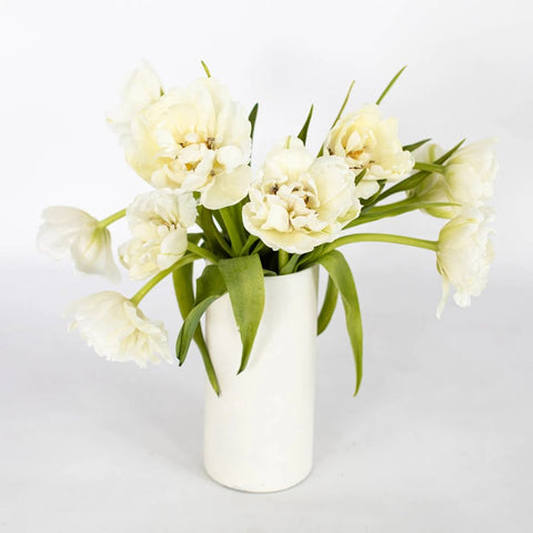 Ivory Double Tulip Flower Bunch in Vase