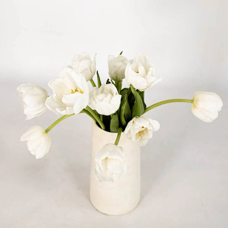 Ivory White Double Tulip Flower Bunch in Vase