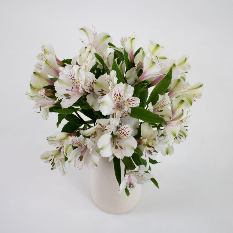 Ivory White Peruvian Lilies Flower Bunch in Vase