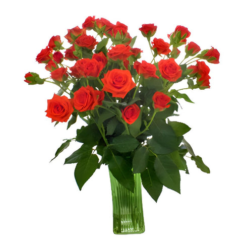 Jazzabell Dark Orange Wholesale Roses In a vase