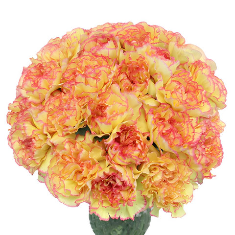 Komachi Fiesta Peachy Yellow and Pink Carnation Flowers In a vase