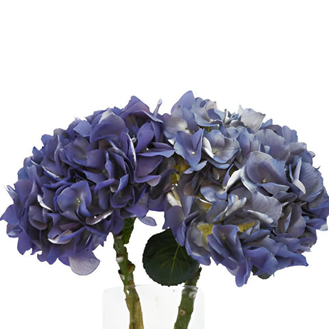 Lavender Blue Hydrangea Stem View