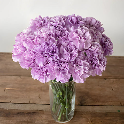 Lavender Carnation Flowers In a vase