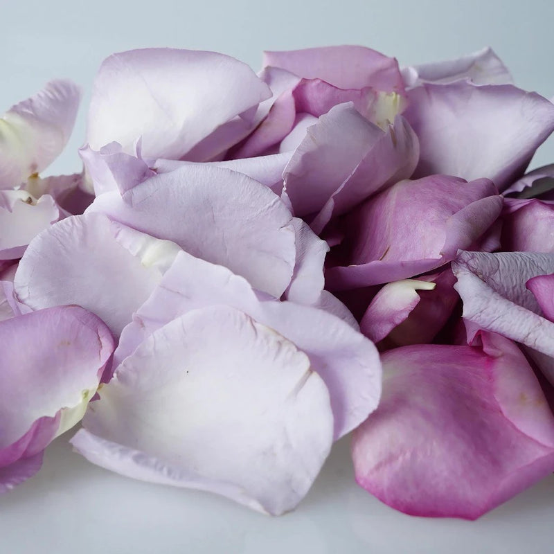 Lavender Real Roses Petals